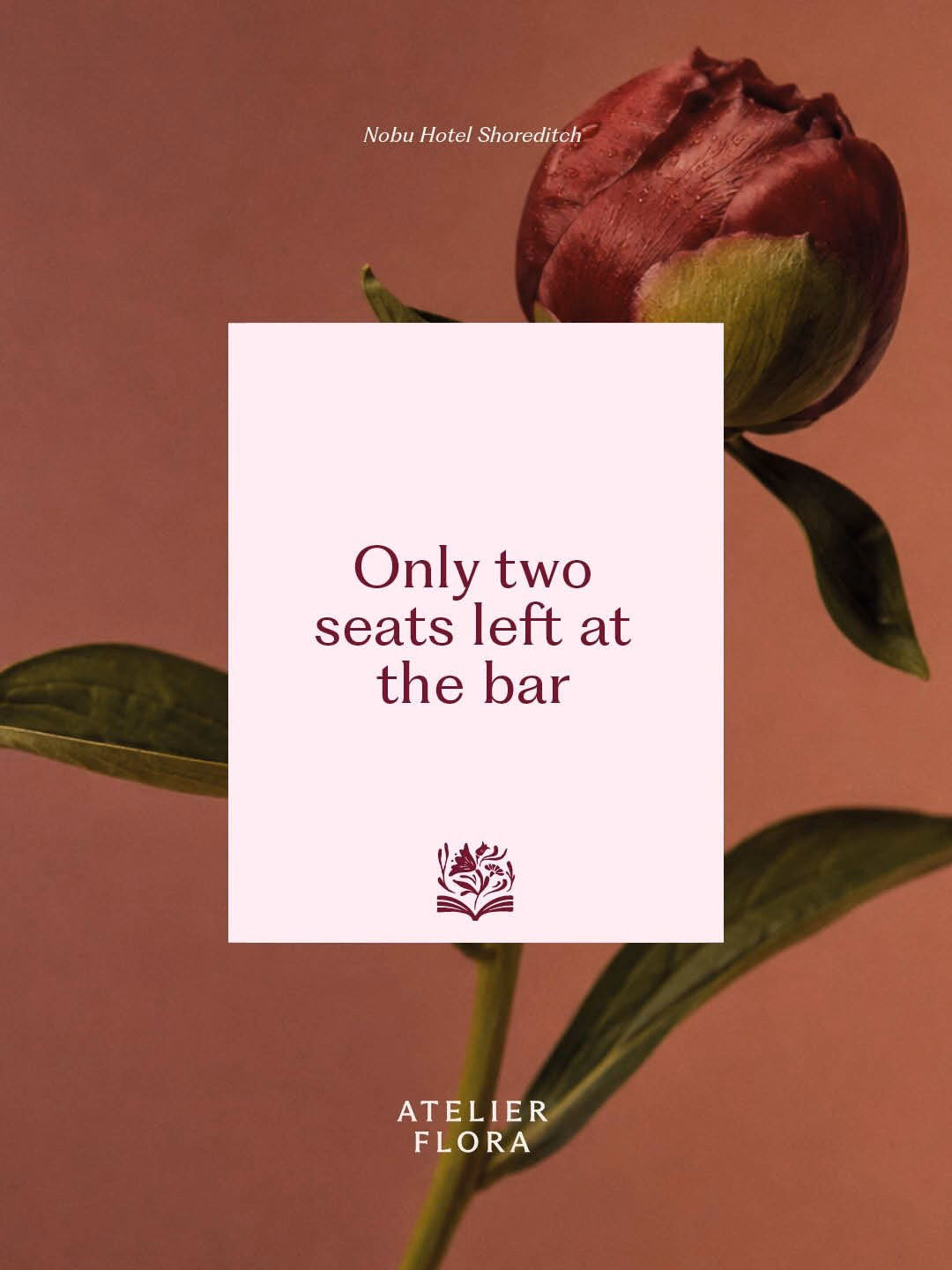 Editorial Floral Branding & Visual Identity — X UI design by 만원만 l manwonman (Slide 3)