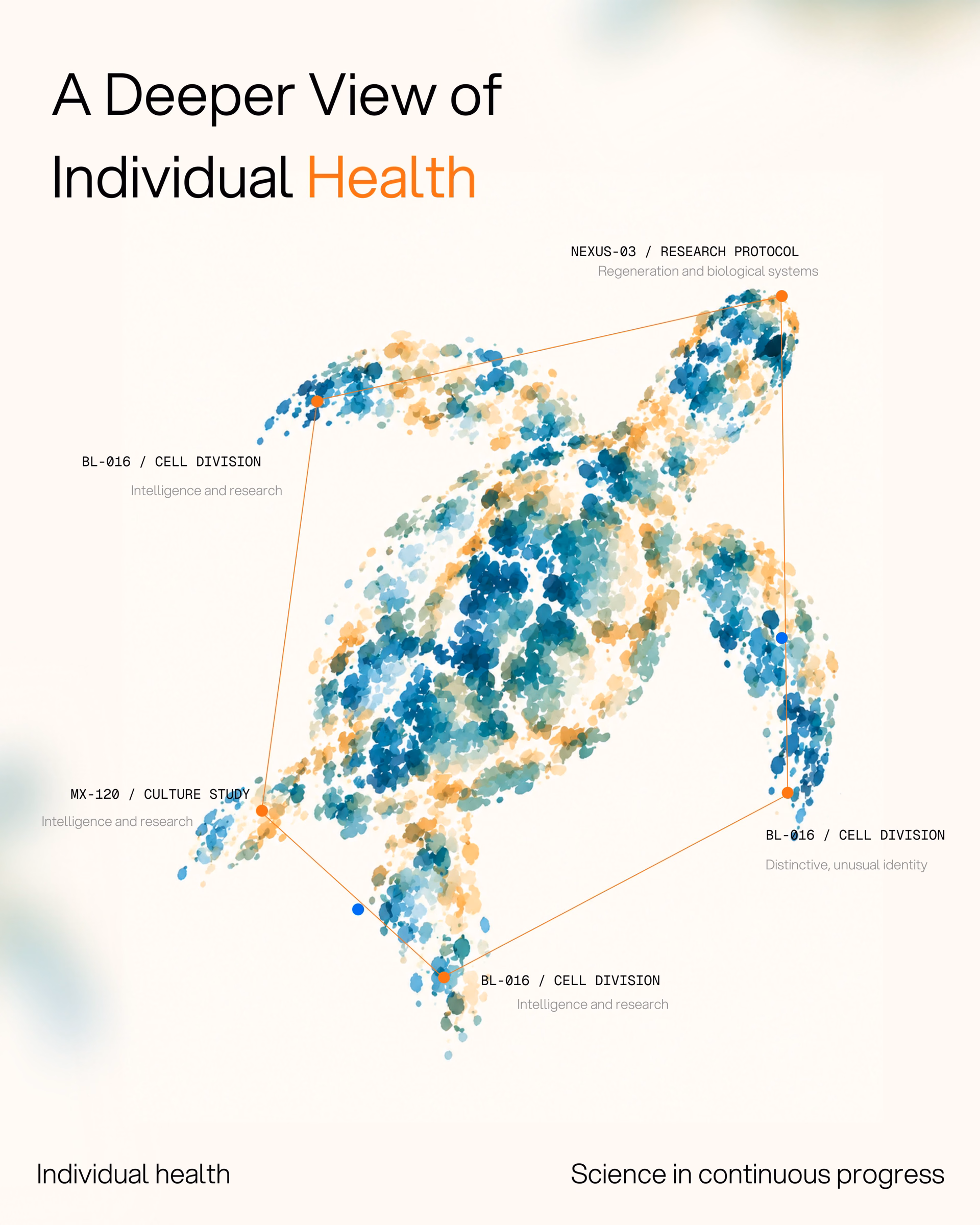 Nature Informs Better Solutions Concept Art — X UI design by Oriku (Slide 2)
