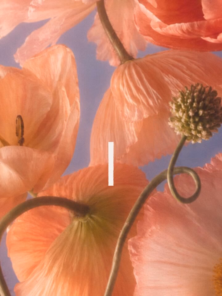 Editorial Floral Branding & Visual Identity — UI design by 만원만 l manwonman