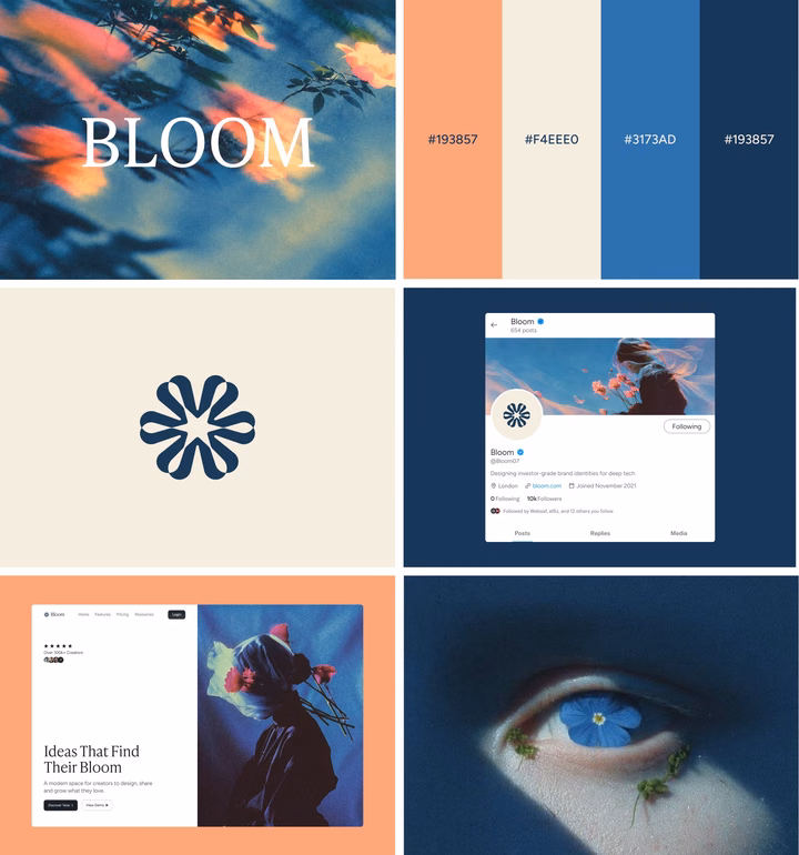 Bloom - Brand Identity & Web Design System — UI design by coffee