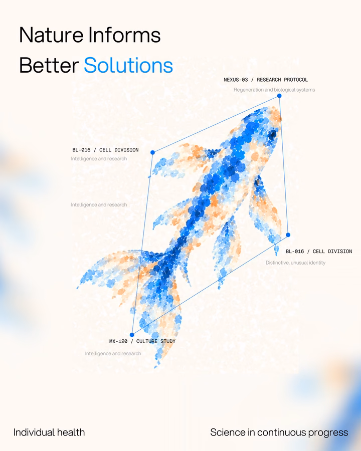 Nature Informs Better Solutions Concept Art UI design inspiration